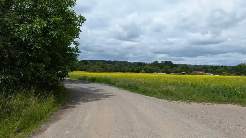 Prodej zahrady, Nová Ves, 658 m2