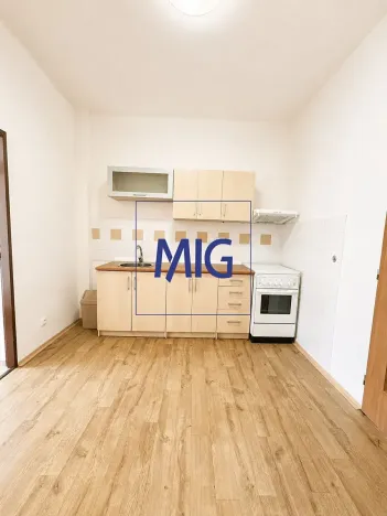 Pronájem bytu 1+1, Brno, Renneská třída, 35 m2