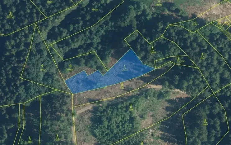 Dražba lesa, Hovězí, 1781 m2