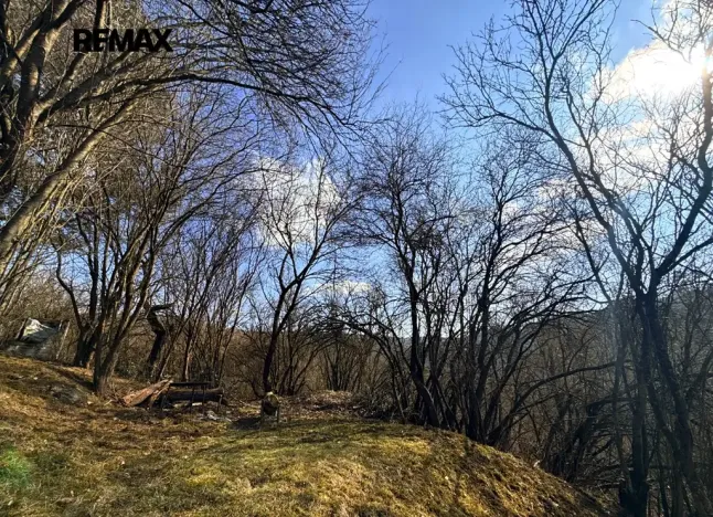 Prodej zahrady, Bílovice nad Svitavou, 589 m2