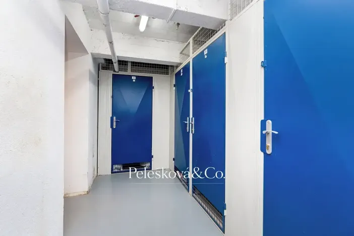 Prodej bytu 4+kk, Praha - Žižkov, Viklefova, 100 m2