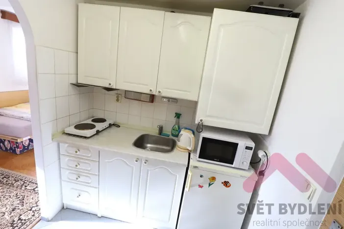 Pronájem bytu 1+kk, Praha, Formanská, 18 m2