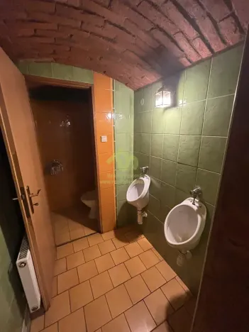 Pronájem restaurace, Plzeň, Lindauerova, 124 m2