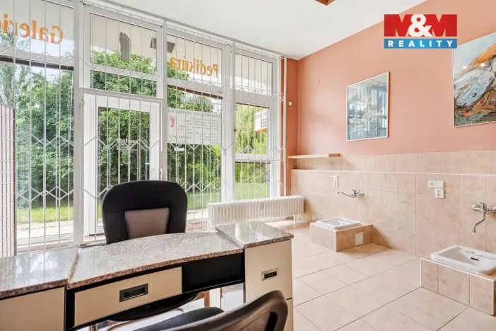 Prodej obchodního prostoru, Praha - Krč, Horáčkova, 24 m2