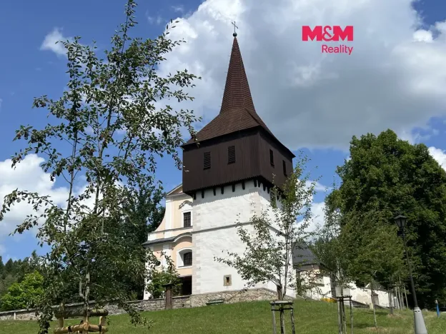 Prodej louky, Vysoká Srbská, 26000 m2