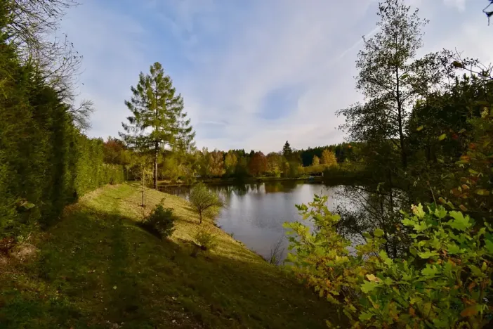 Prodej chaty, Číhošť, 75 m2