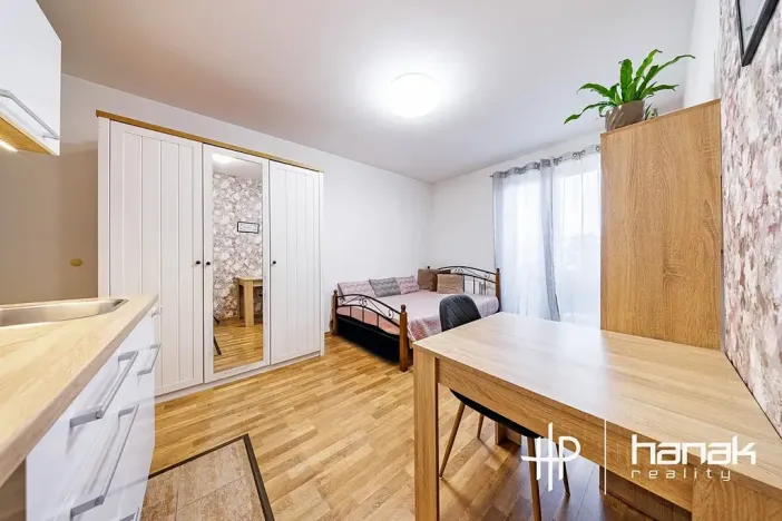 Pronájem bytu 1+kk, Olomouc, Edvarda Beneše, 23 m2