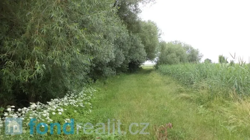Prodej pozemku, Dačice, 4172 m2