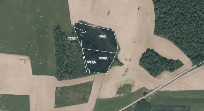 Prodej lesa, Velký Bor, 16139 m2