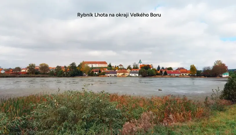 Prodej lesa, Velký Bor, 16139 m2