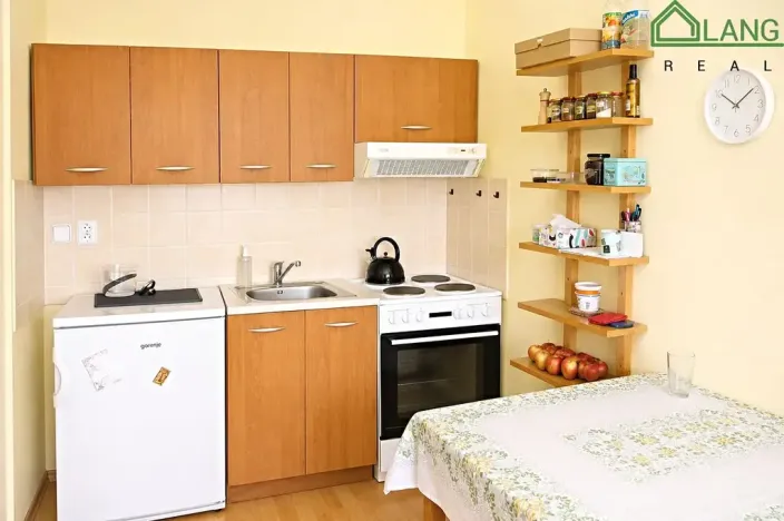 Pronájem bytu 1+kk, Brno, Králova, 23 m2