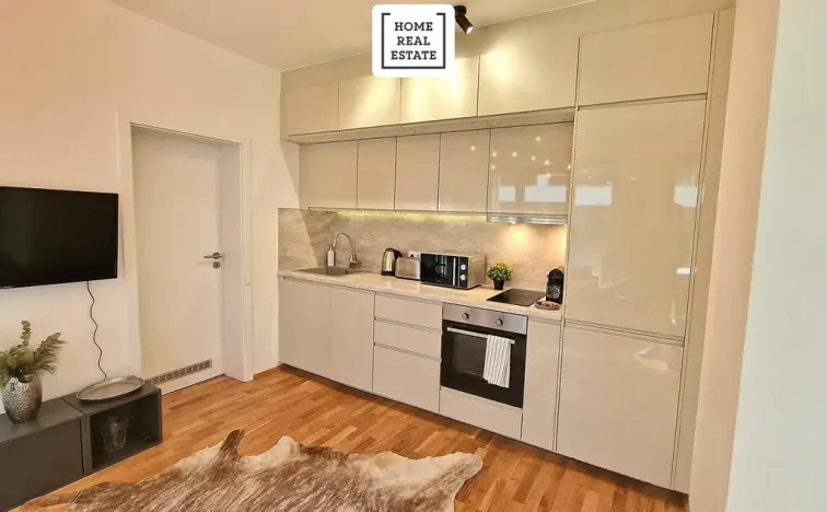 Pronájem bytu 2+kk, Praha - Karlín, Breitfeldova, 50 m2