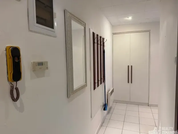 Pronájem bytu 4+kk, Praha - Vinohrady, Řipská, 135 m2