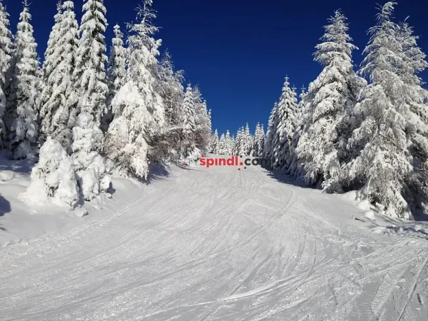 Prodej bytu 4+1, Špindlerův Mlýn, 149 m2