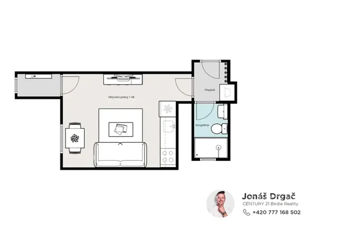 Pronájem bytu 1+kk, Praha - Nusle, Sezimova, 27 m2