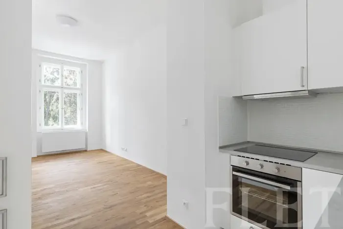 Pronájem bytu 1+kk, Praha - Nusle, Lumírova, 31 m2