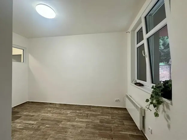 Pronájem bytu 2+kk, Plzeň, Mánesova, 43 m2