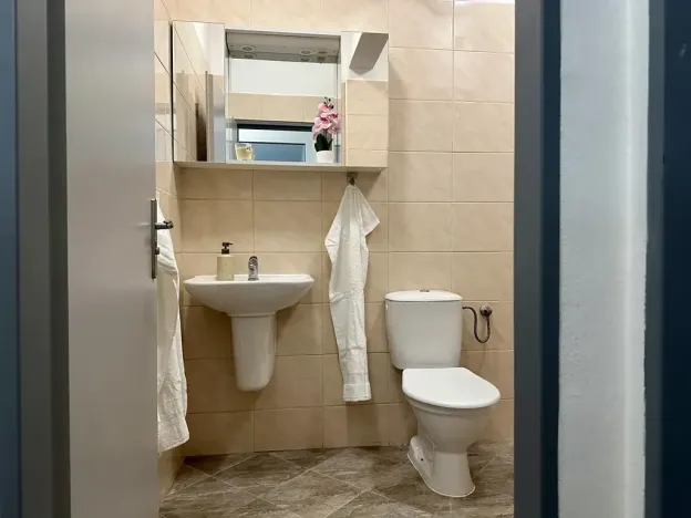Pronájem bytu 2+kk, Plzeň, Mánesova, 43 m2