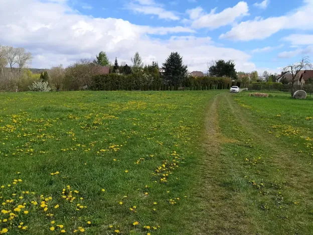 Prodej komerčního pozemku, Radomyšl, 10000 m2