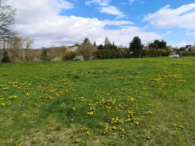 Prodej komerčního pozemku, Radomyšl, 10000 m2
