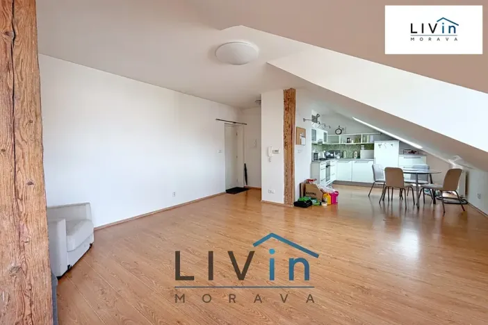 Pronájem bytu 1+kk, Olomouc, Krakovská, 80 m2