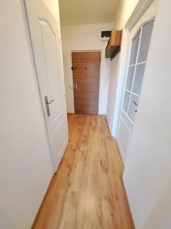 Pronájem bytu 1+1, Hradec Králové, Štefánikova, 40 m2