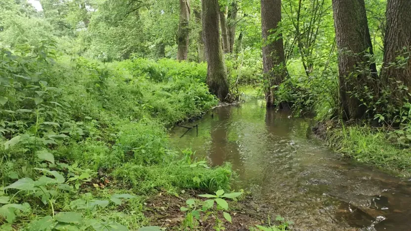 Prodej rodinného domu, Hroubovice, 150 m2