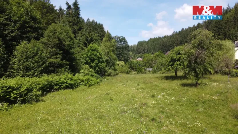 Prodej pozemku pro bydlení, Plavy, 3359 m2