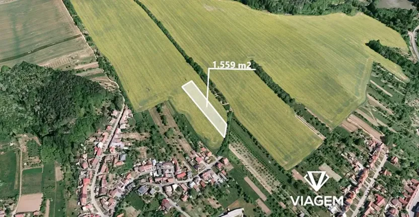 Prodej pole, Březolupy, 1559 m2