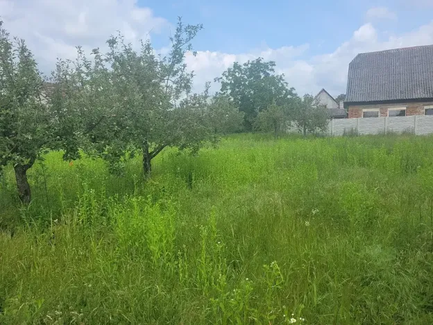 Prodej pozemku pro bydlení, Dlouhá Loučka, 1890 m2