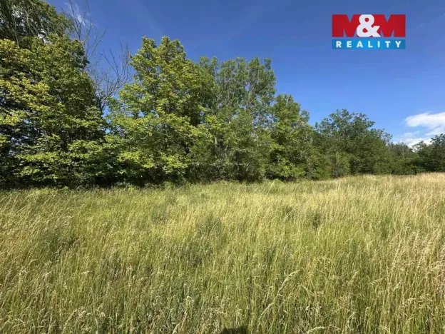 Prodej zahrady, Bechlín - Předonín, 625 m2