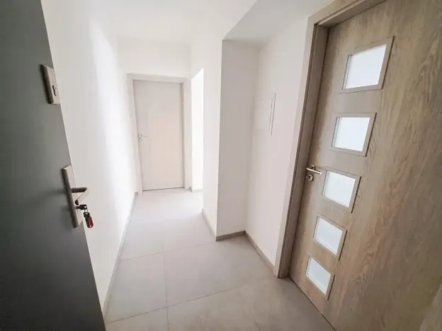 Pronájem bytu 1+1, Plzeň, Mánesova, 45 m2