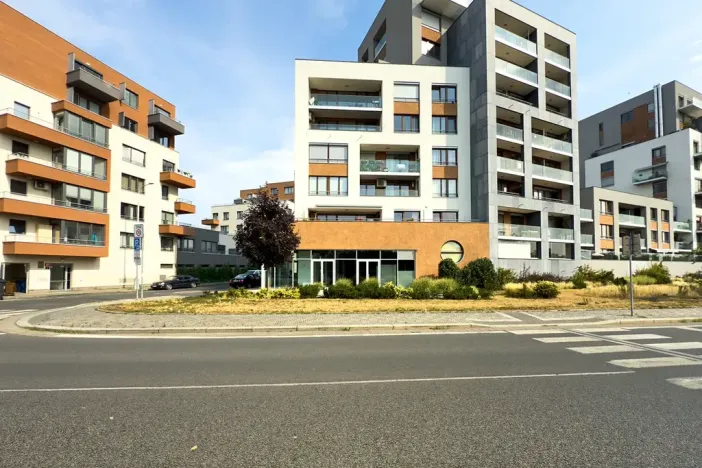 Pronájem restaurace, Praha - Holešovice, V háji, 240 m2