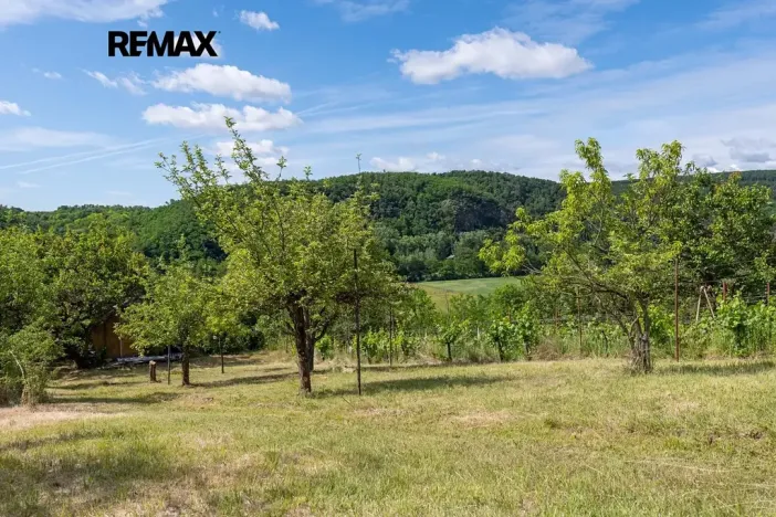 Prodej sadu/vinice, Moravské Bránice, 2403 m2