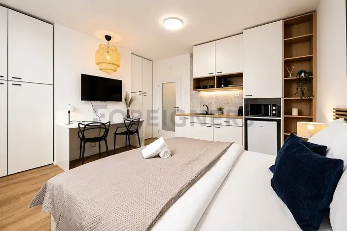 Pronájem bytu 1+kk, Brno, Cejl, 38 m2