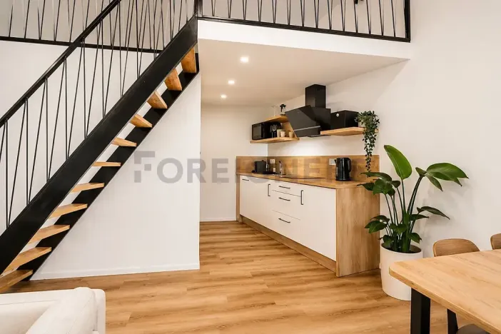 Pronájem bytu 1+kk, Brno, Vlhká, 46 m2