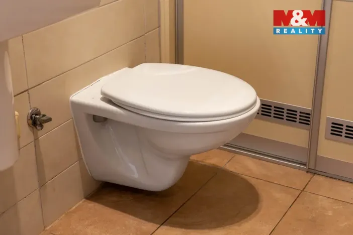 Prodej bytu 3+kk, Ostrava - Moravská Ostrava, 113 m2