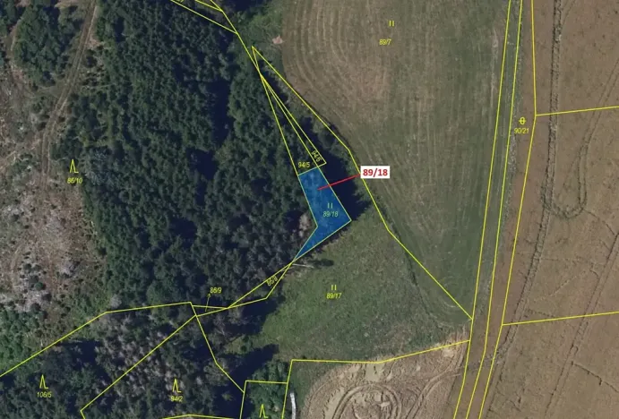 Dražba louky, Žižkovo Pole, 212 m2