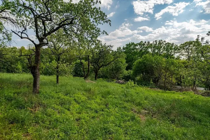 Prodej pozemku pro bydlení, Veliny, 1236 m2
