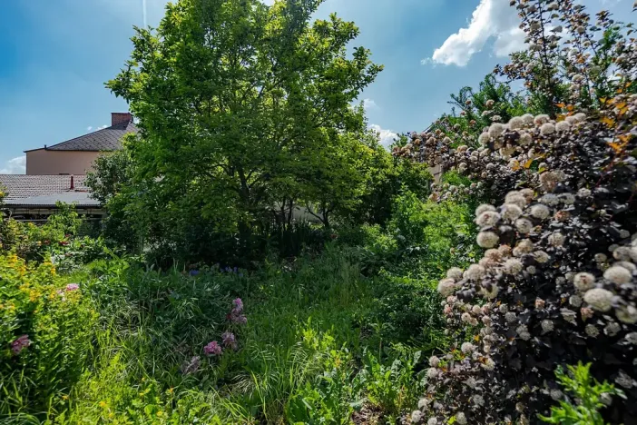 Prodej rodinného domu, Vysoké Mýto, Jožky Svobody, 190 m2