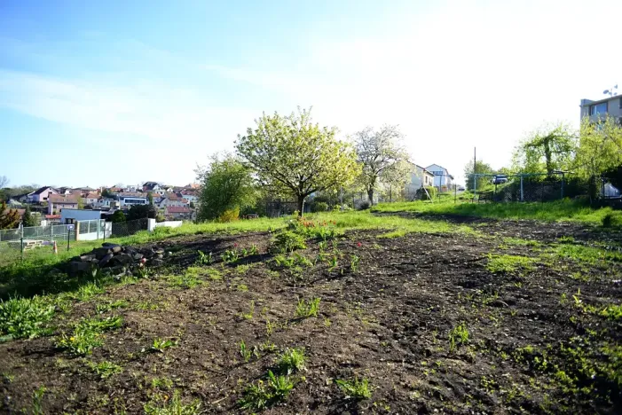 Prodej pozemku pro bydlení, Větrušice, Úzká, 810 m2