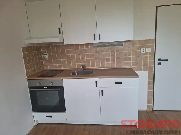 Pronájem bytu 1+kk, Dobřany, 17. listopadu, 19 m2