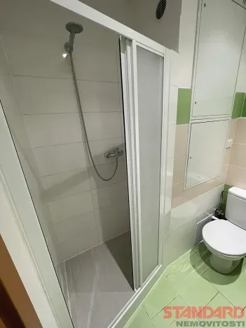 Pronájem bytu 1+kk, Dobřany, 17. listopadu, 19 m2