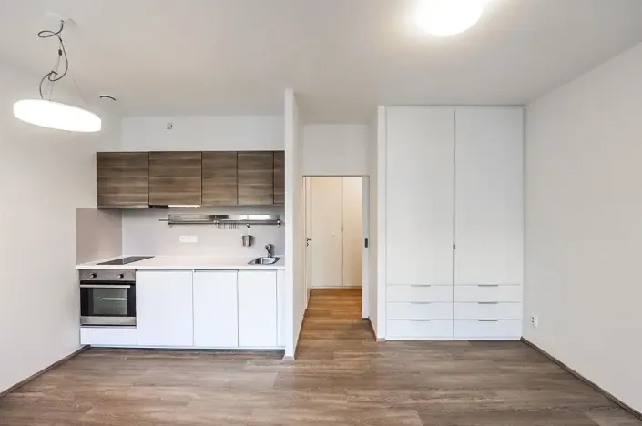 Pronájem bytu 1+kk, Praha - Vinohrady, Lucemburská, 30 m2