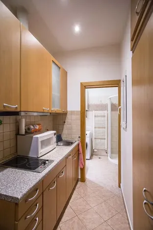Pronájem bytu 1+kk, Praha - Libeň, Krejčího, 34 m2