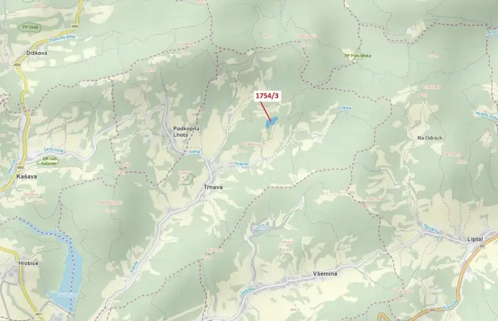 Dražba lesa, Trnava, 32273 m2