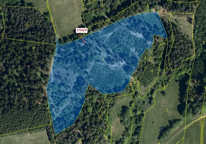 Dražba lesa, Trnava, 32273 m2