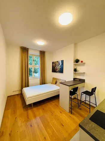 Pronájem bytu 1+kk, Praha - Dejvice, Studentská, 20 m2