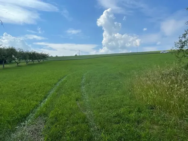 Prodej louky, Luže, 11020 m2