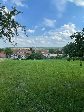 Prodej louky, Luže, 11020 m2